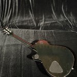 IMG_1564